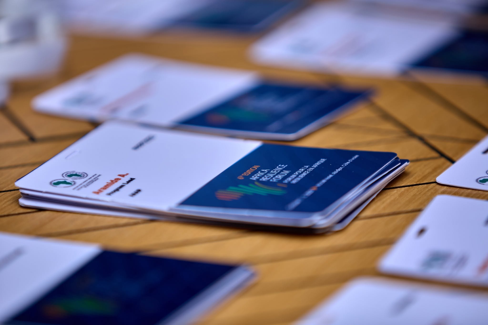 African Resilience Forum — ARF 2025 — photo 17