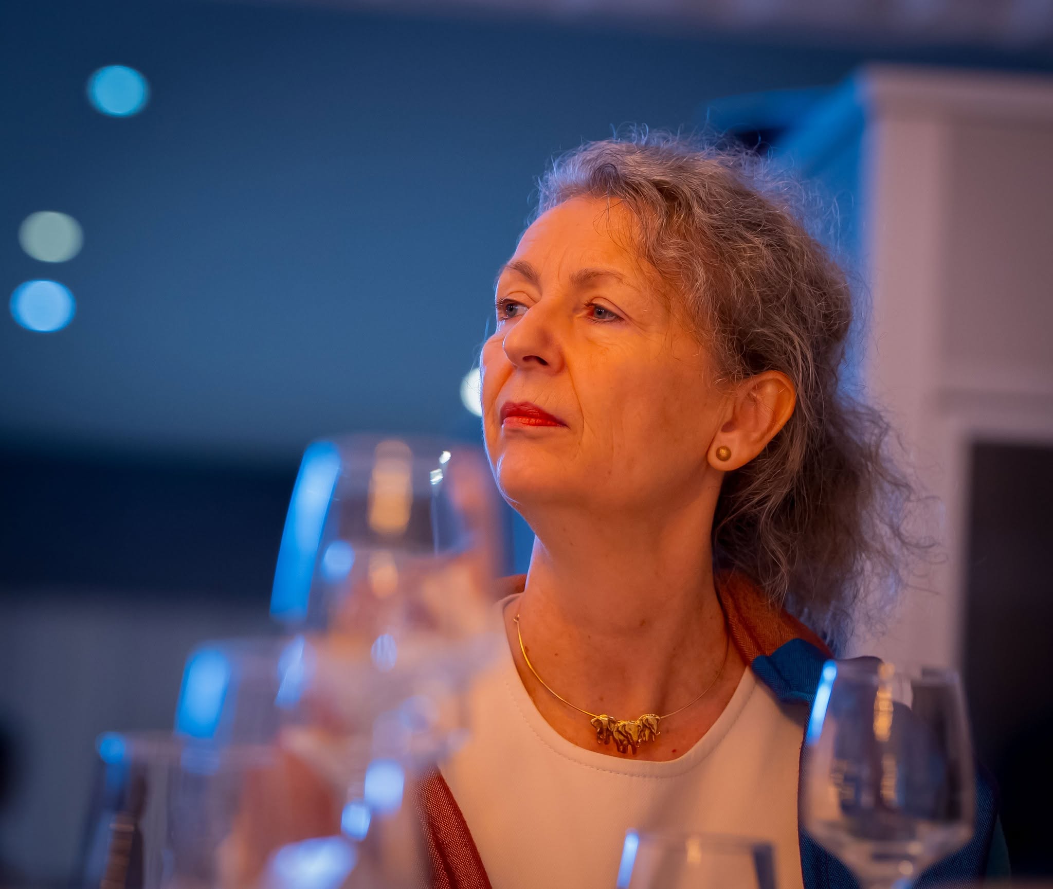 Déjeuner des Ambassadeurs — BAD 2026 — photo 10