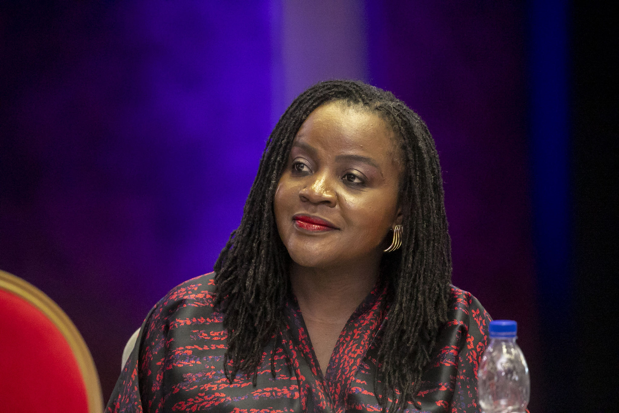 Forum ministériel de la BAD sur les minéraux critiques — ADESIS aux commandes — photo 13