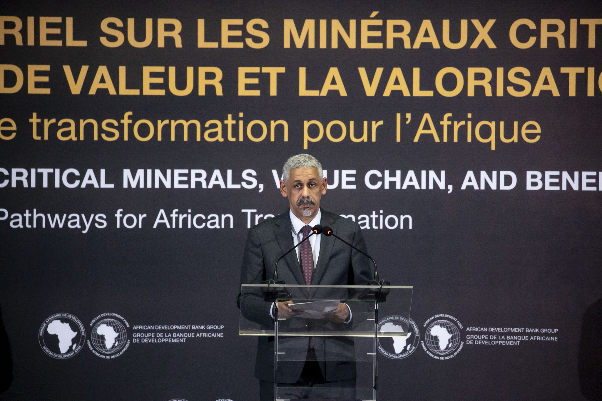 Forum ministériel de la BAD sur les minéraux critiques — ADESIS aux commandes — photo 2