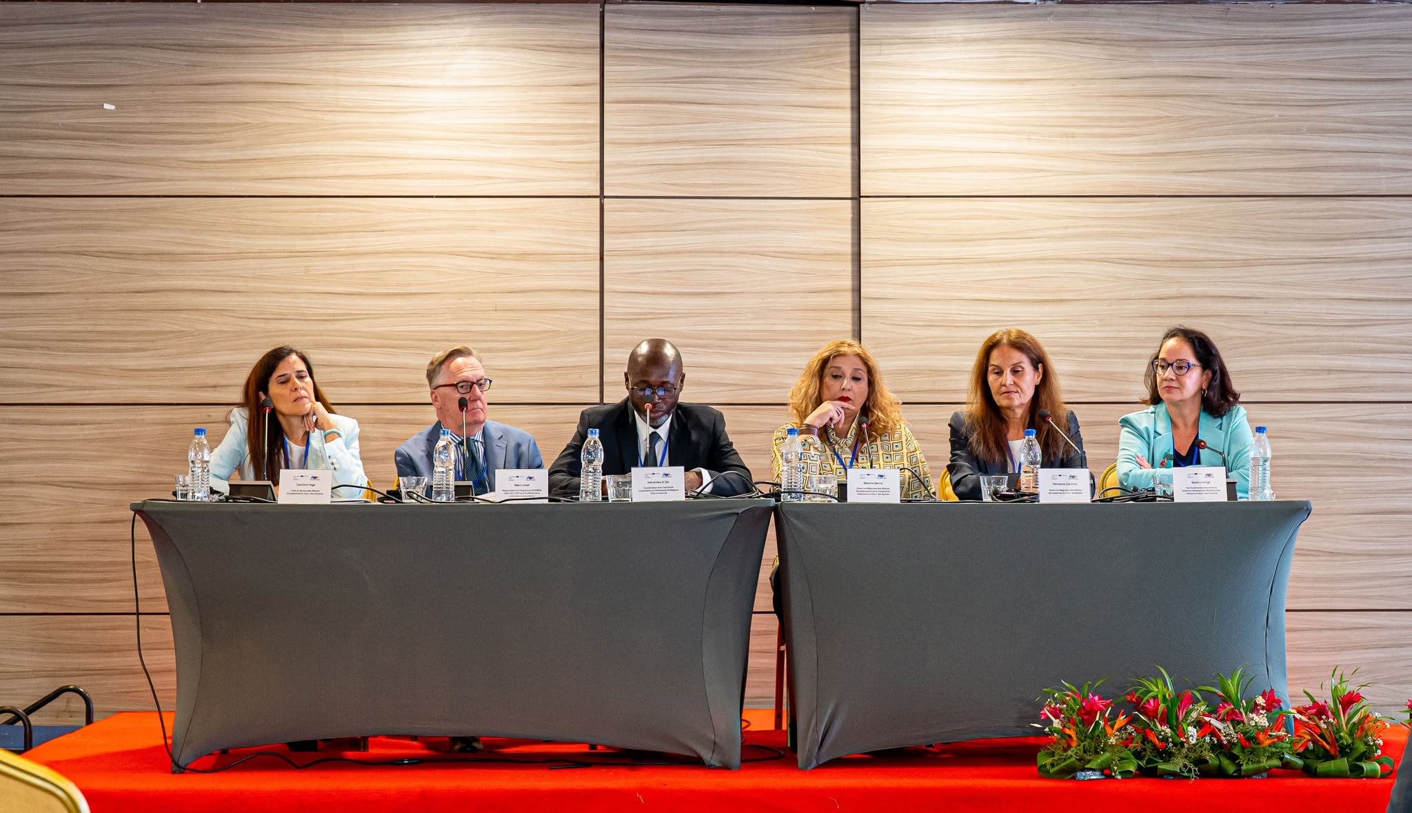 Projet ATLANTE — Ambassade d'Espagne 2026 — photo 2